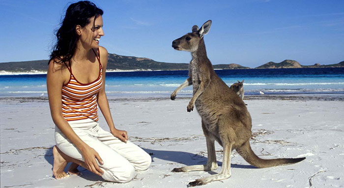 Dile hola a un canguro en Australia
