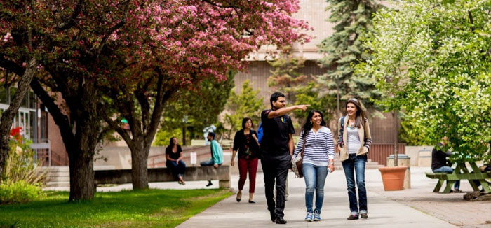 Estudiantes en el campus de lakehead university