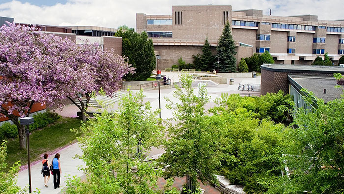 Thunder Bay Campus Lakehead University